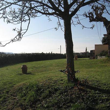 Cerbaia Agriturismo Le Caselle الغرفة الصورة