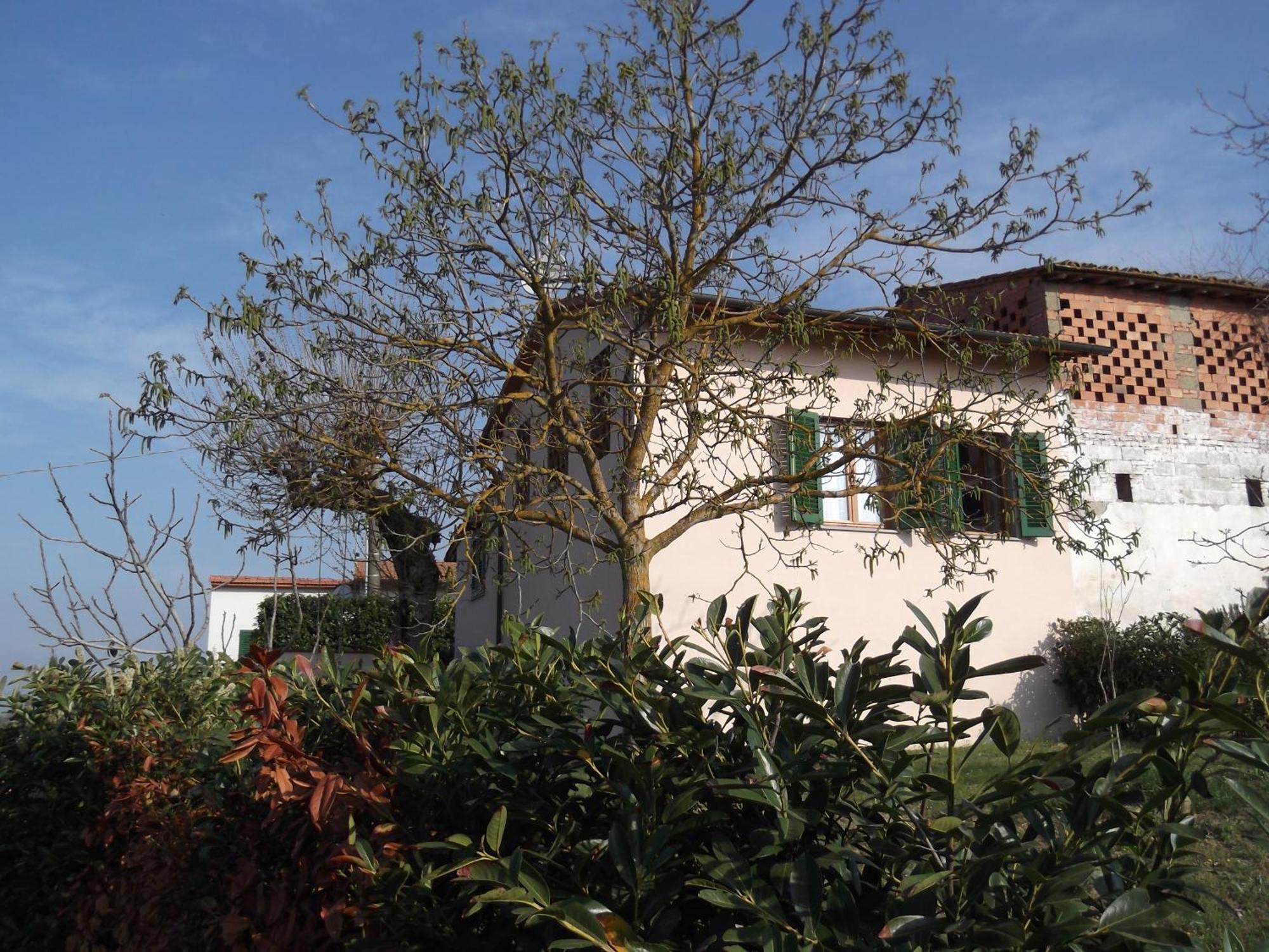 Cerbaia Agriturismo Le Caselle الغرفة الصورة