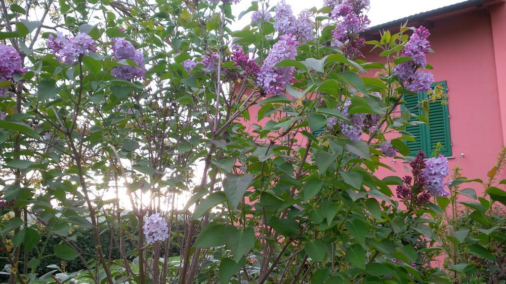 Cerbaia Agriturismo Le Caselle المظهر الخارجي الصورة